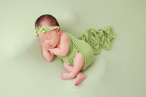 吉林陕西助孕公司名单揭晓助孕行业新动向